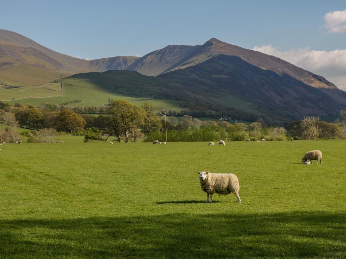 Swaledale Watch Garden Annexe Villa Wigton Dış mekan fotoğraf